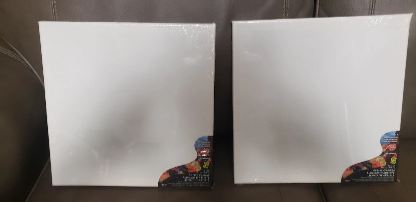 Artist Series Canvas 12x12in 2 sets - photo 2