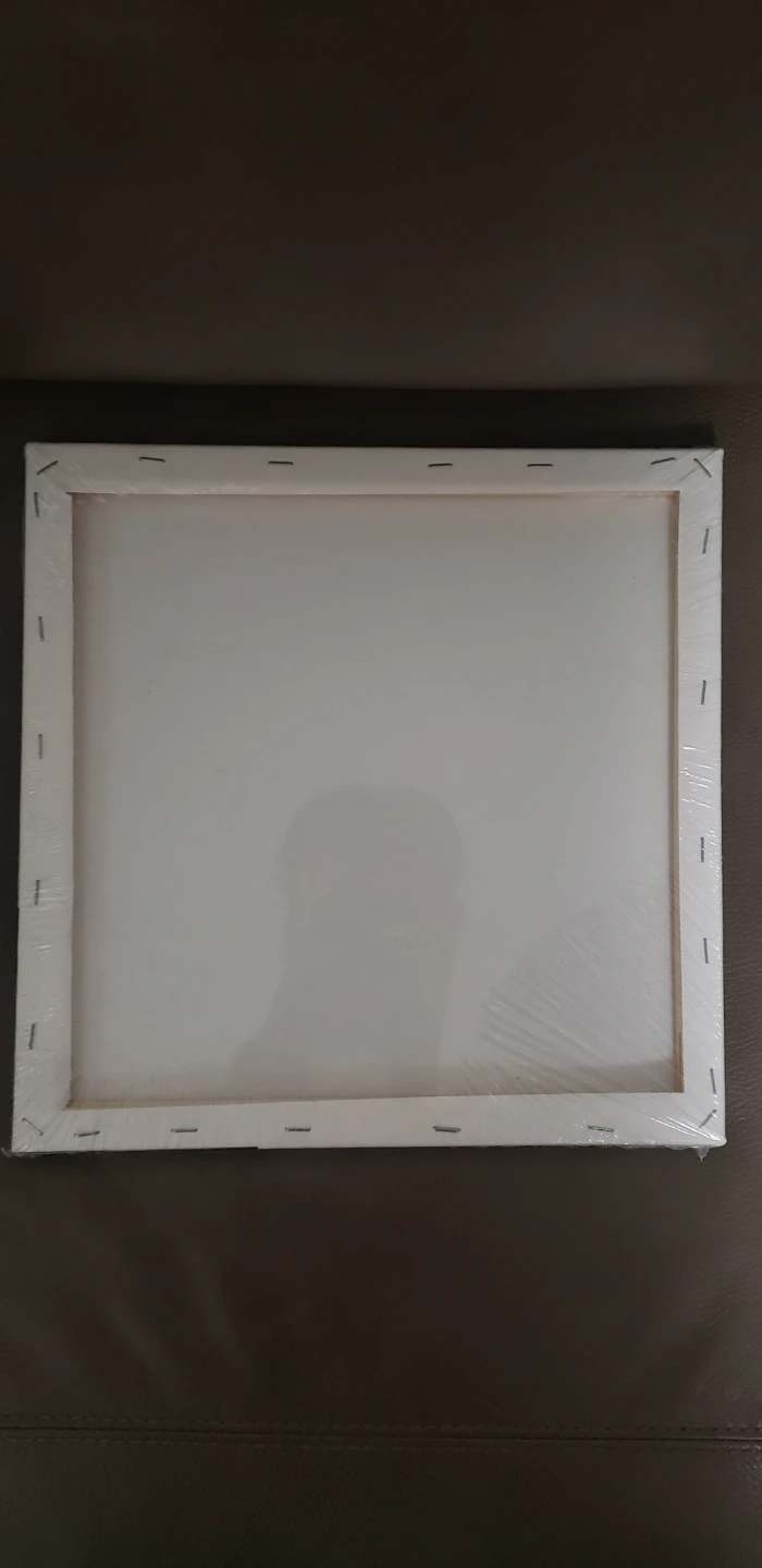 Artist Series Canvas 12x12in 2 sets - photo 4