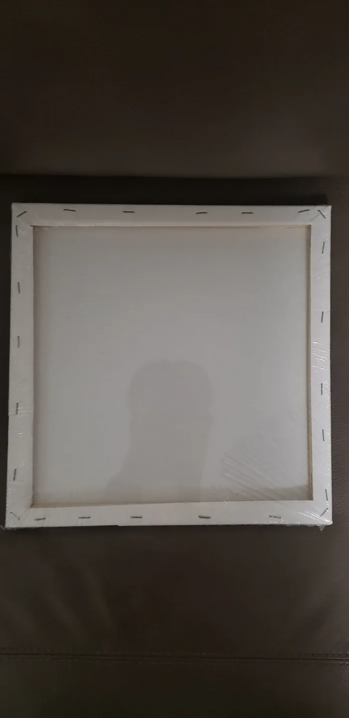 Artist Series Canvas 12x12in 2 sets image indicator(4)