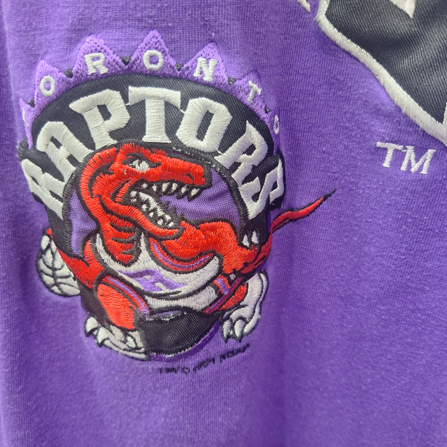 Toronto Raptors Memorabilia - photo 4