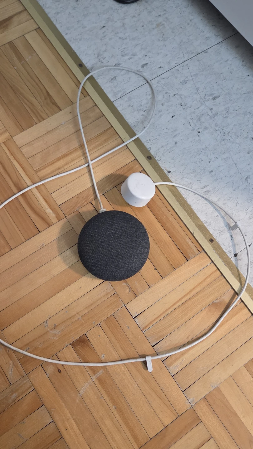 Google Home Mini (1st Generation)