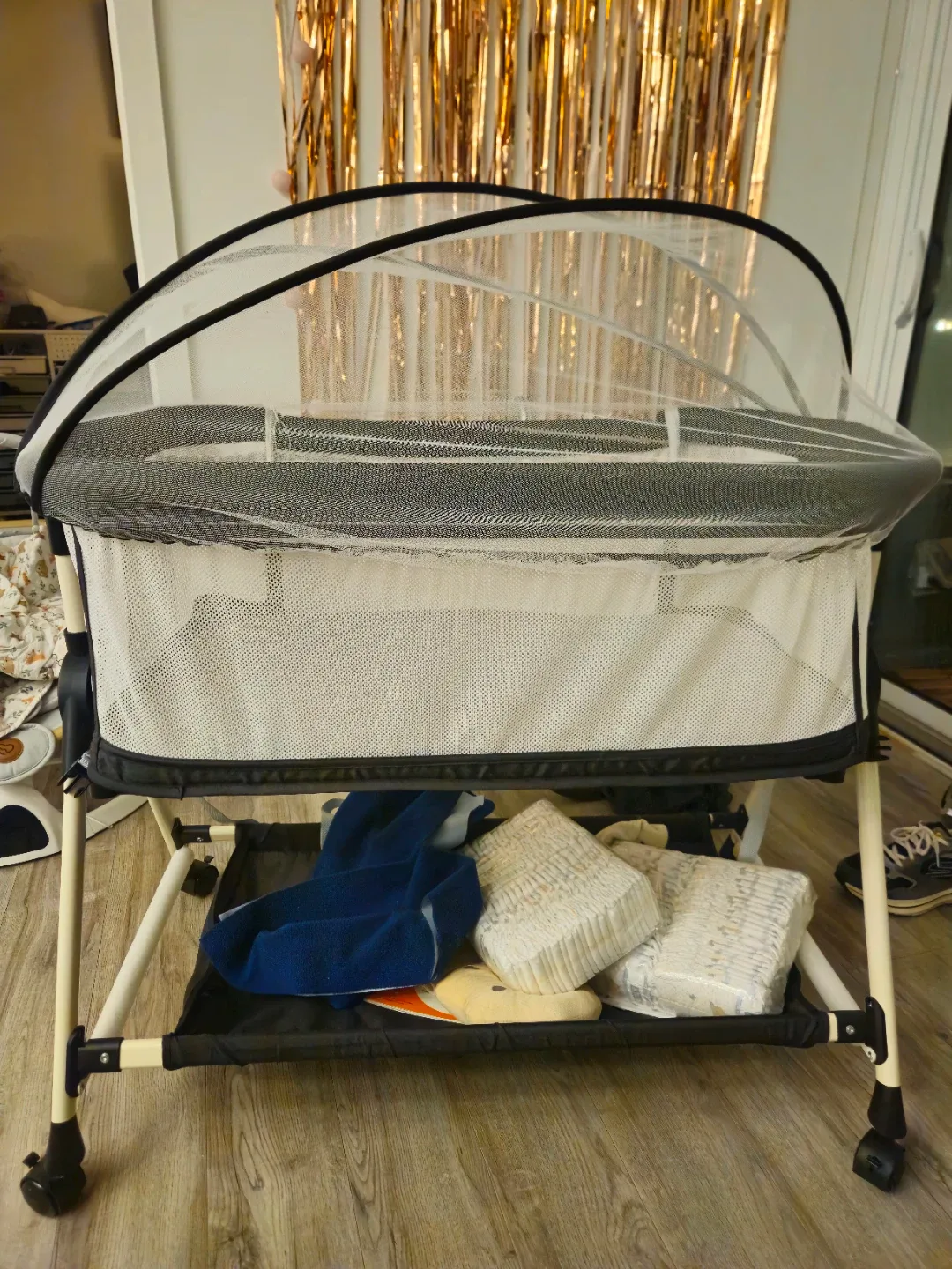 Bassinet with Mosquito Net