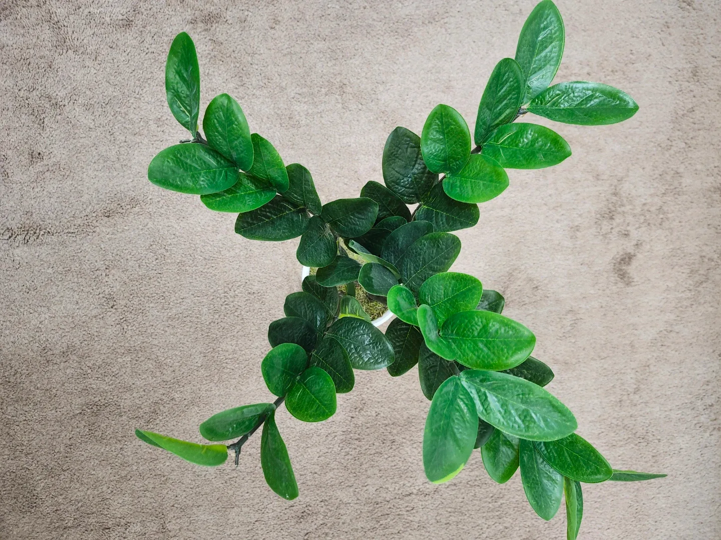 Life at Home Artificial ZZ Plant in Pot