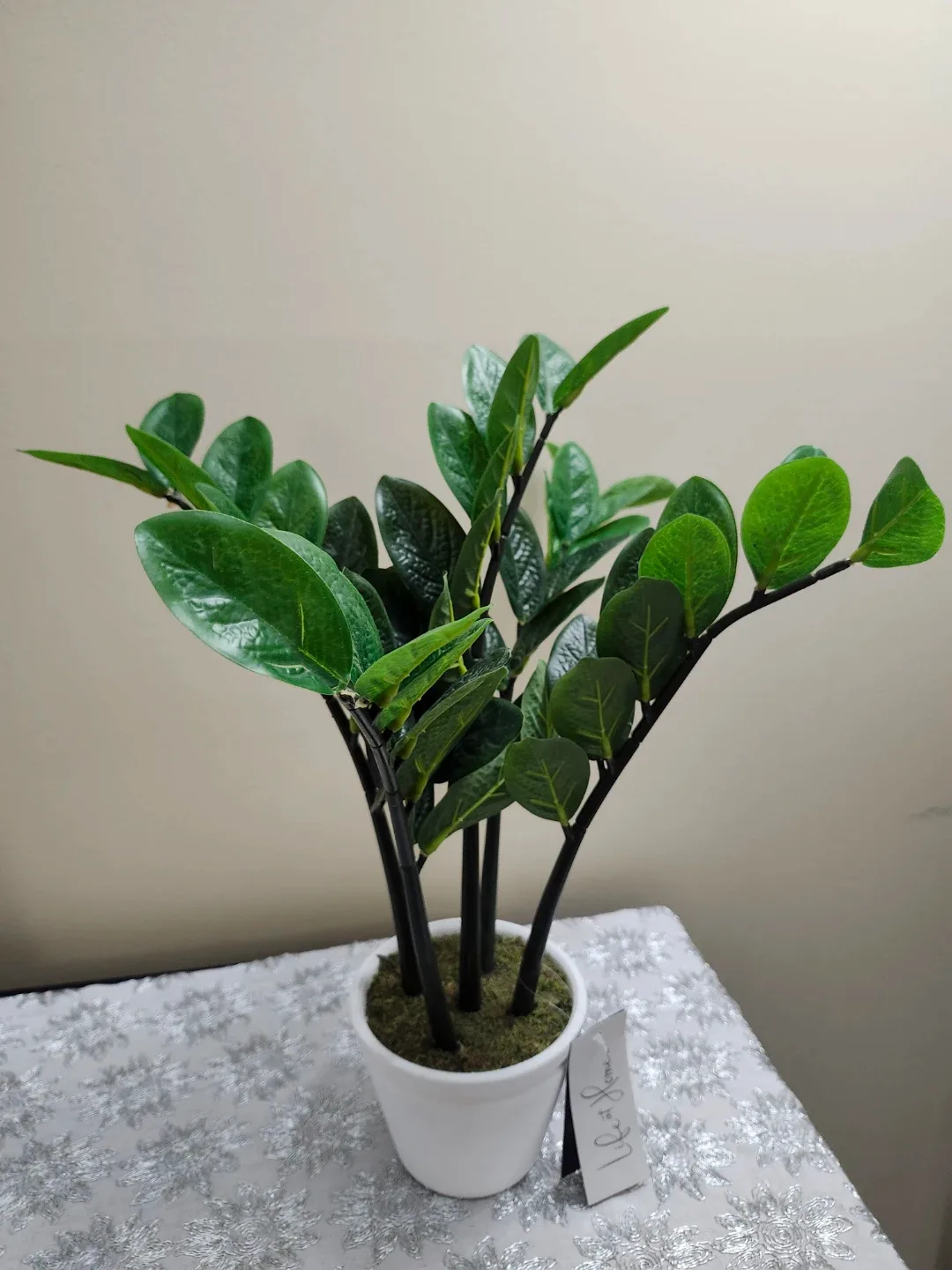 Life at Home Artificial ZZ Plant in Pot image indicator(2)