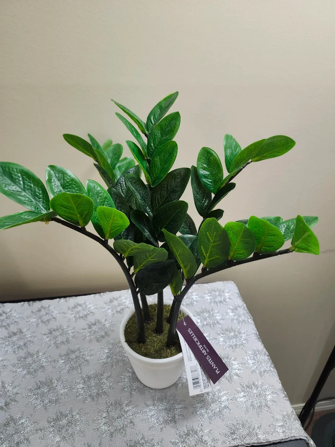 Life at Home Artificial ZZ Plant in Pot image indicator(4)