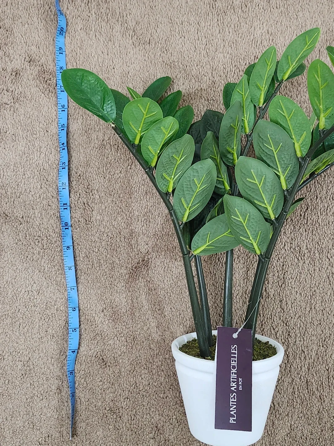 Life at Home Artificial ZZ Plant in Pot image indicator(5)