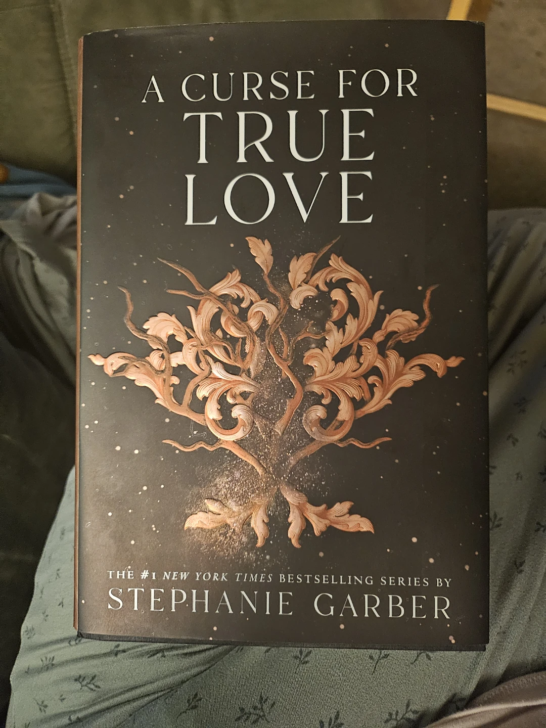 A Curse for True Love by Stephanie Garber