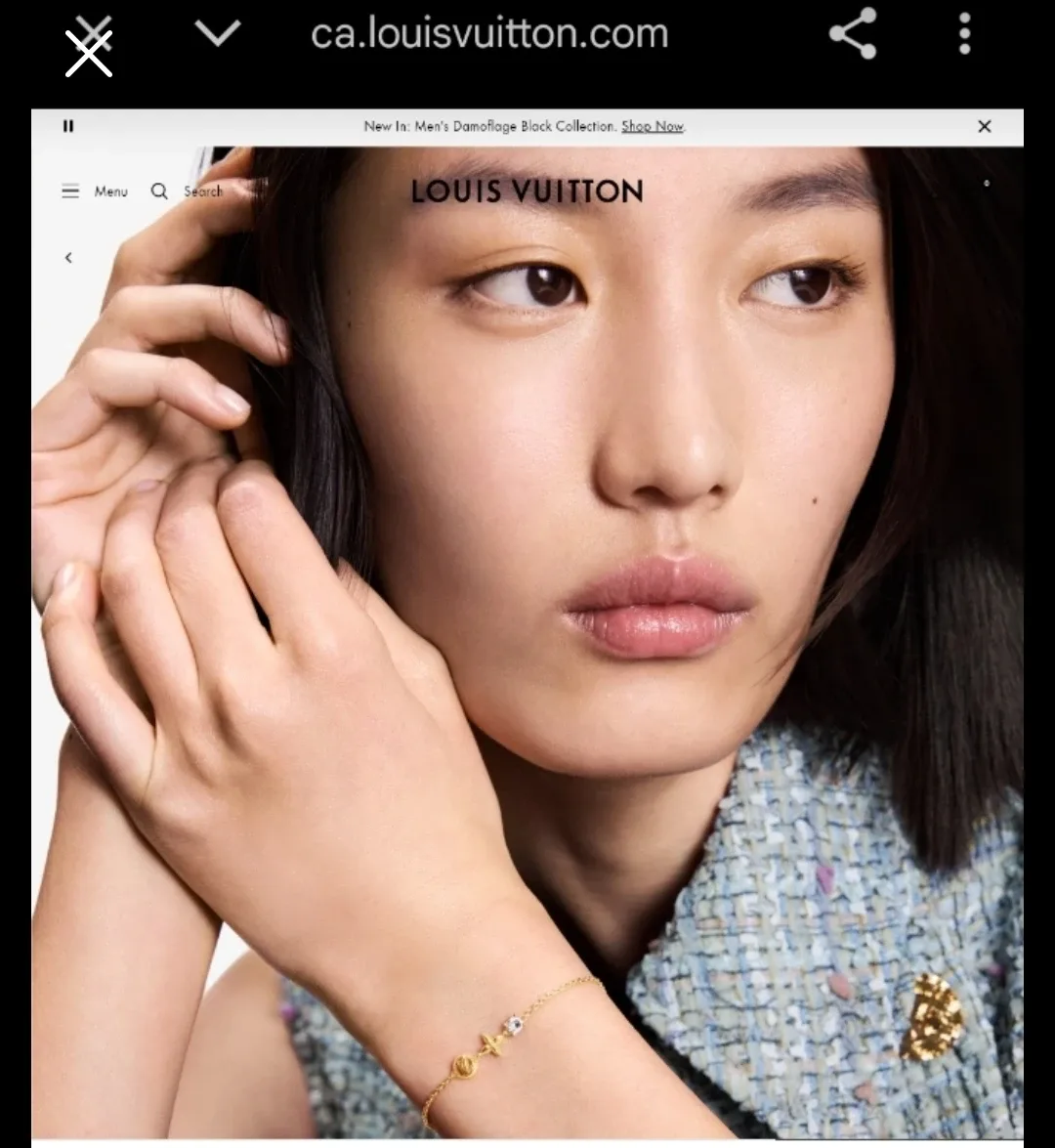 Louis Vuitton Bracelet-Christmas gift image indicator(2)