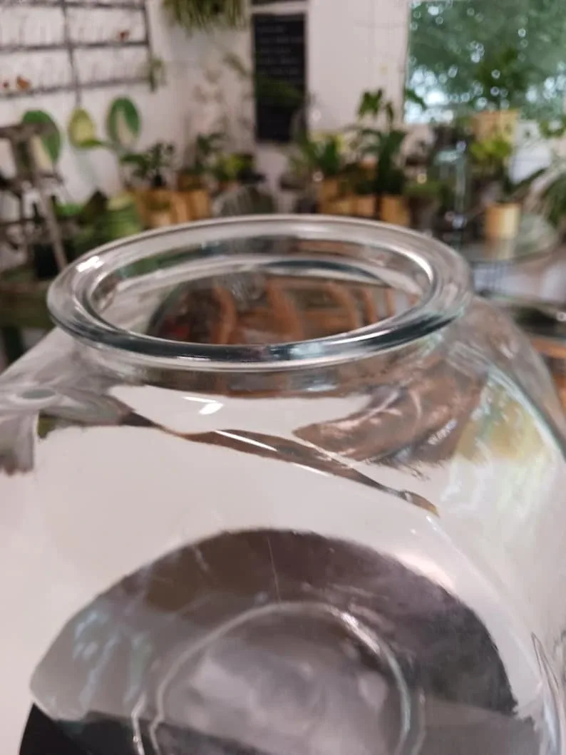 Large Vintage Glass fish bowl image indicator(2)