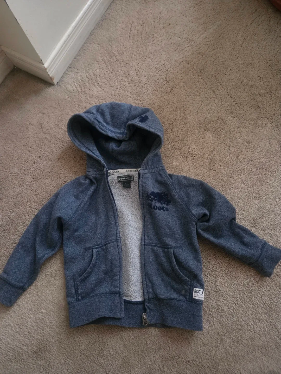 #Cleanout Roots Kids Zip-Up Hoodie, Size 2