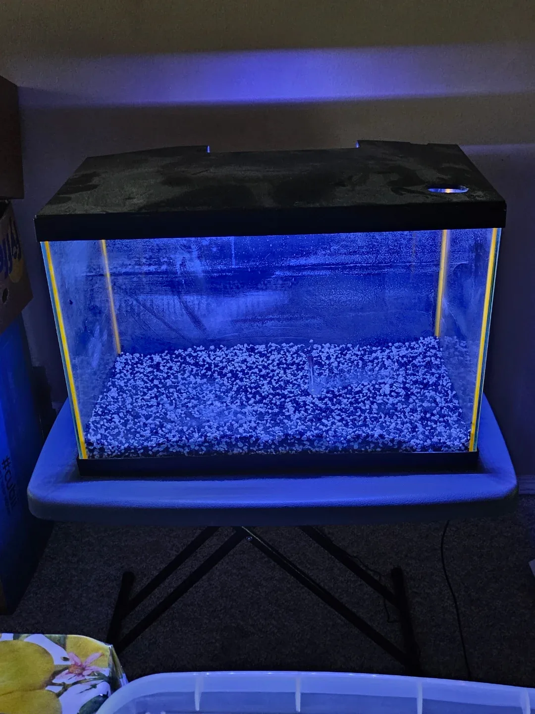Aqueon 20 Gallon Aquarium with Filter