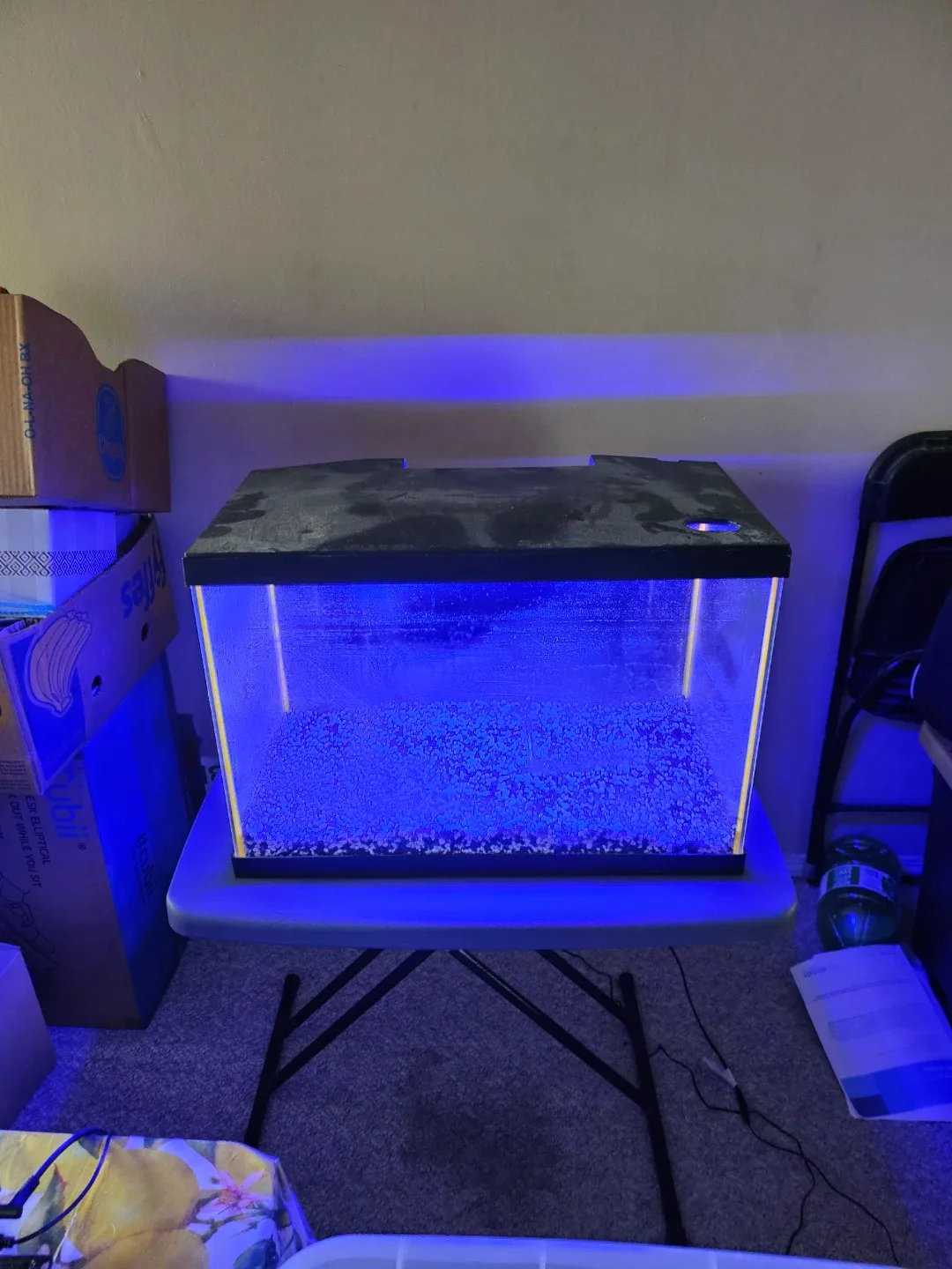 Aqueon 20 Gallon Aquarium with Filter image indicator(2)
