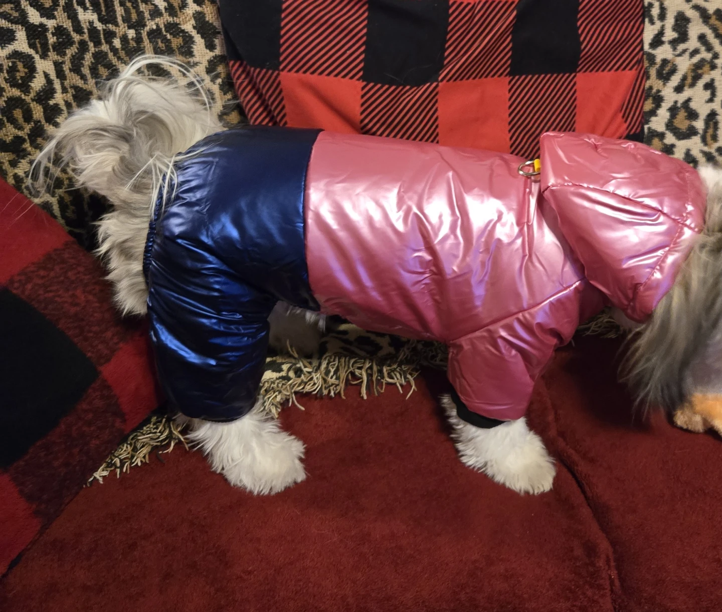 Dog Puffer Onesie - Pink & Blue - photo 3