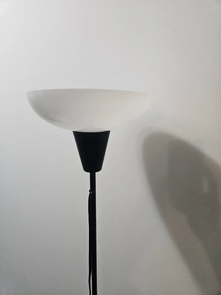 *Must Sell By Tomorrow* Black Floor Lamp