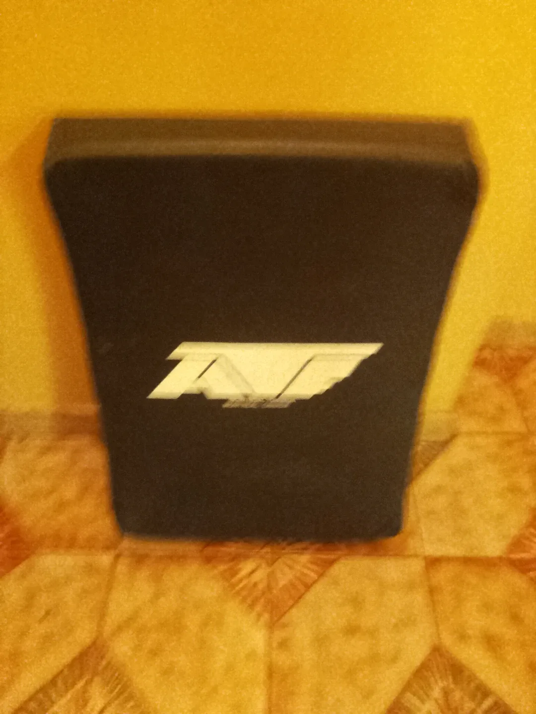 Martial Arts Training Shield