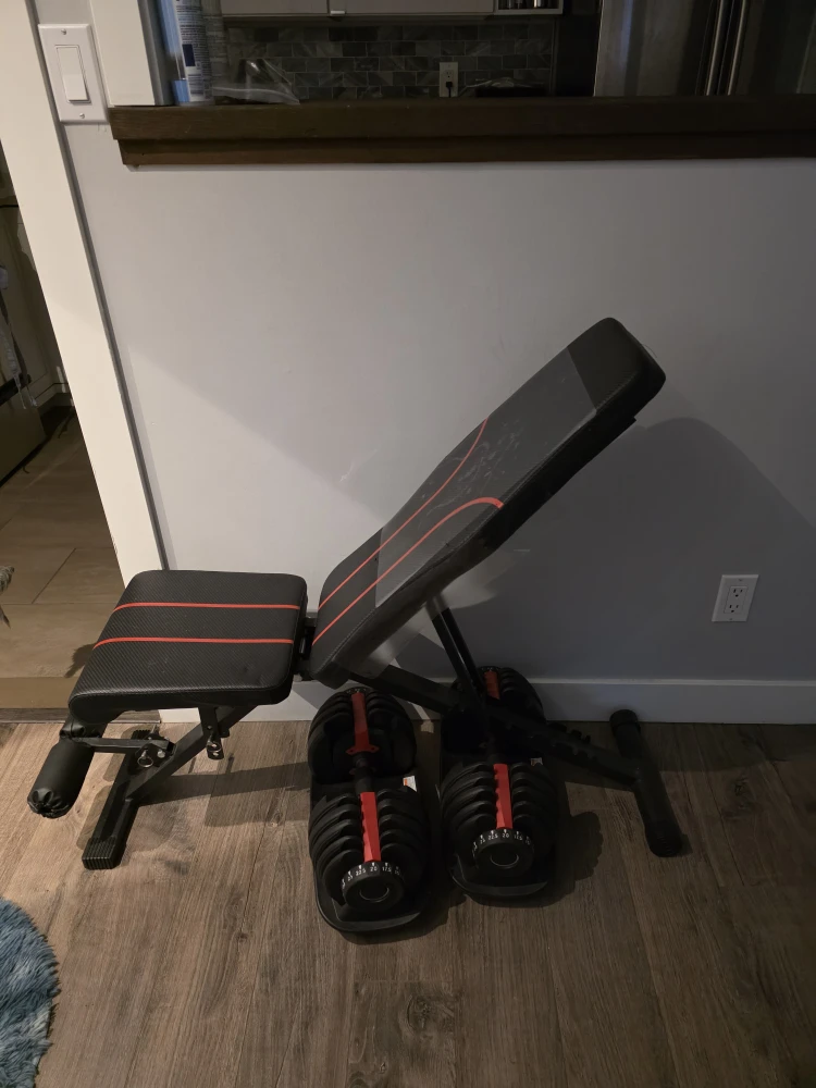 Adjustable Dumbbells with Weight Bench