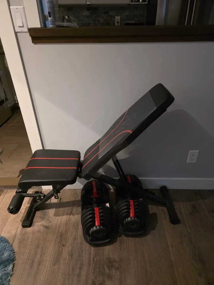 Adjustable Dumbbells with Weight Bench