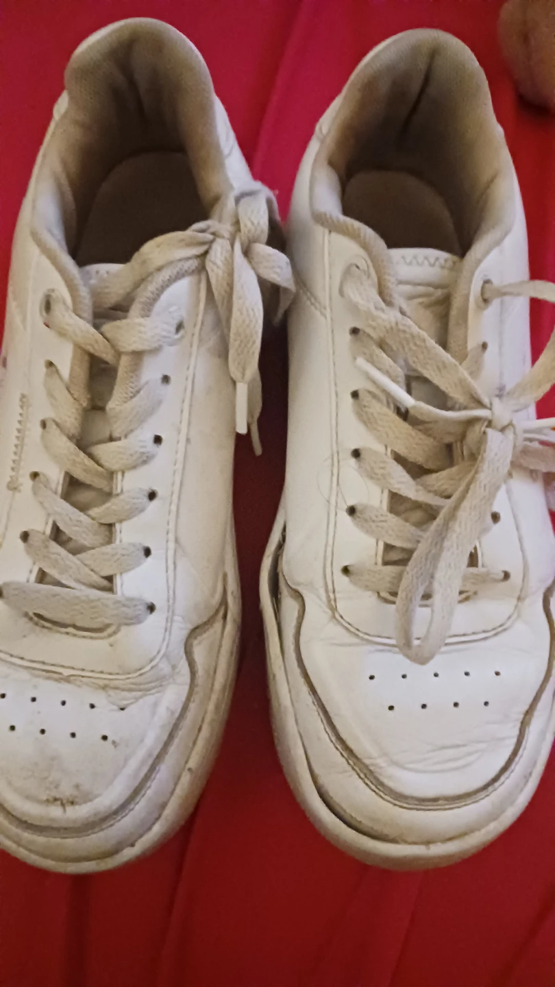 Champion White Sneakers - US 5.5