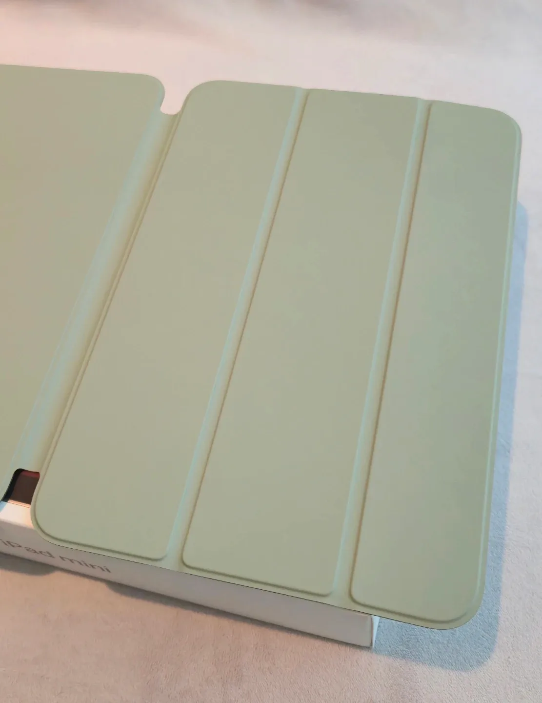 iPad Mini 7 Smart Cover - Sage Green image indicator(2)