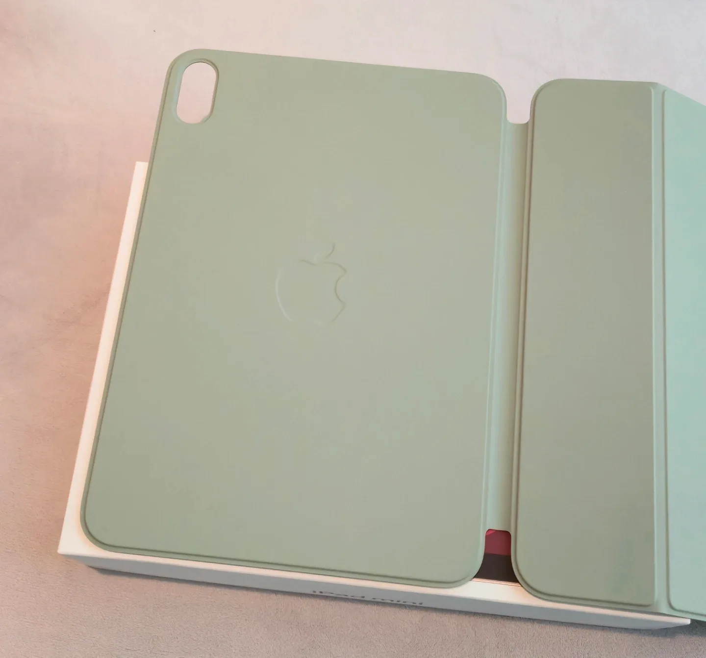 iPad Mini 7 Smart Cover - Sage Green image indicator(3)