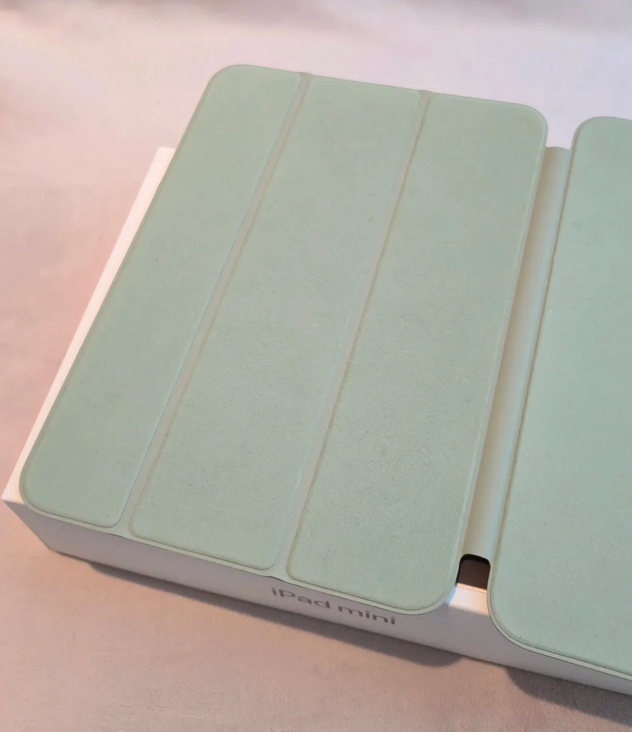 iPad Mini 7 Smart Cover - Sage Green image indicator(5)