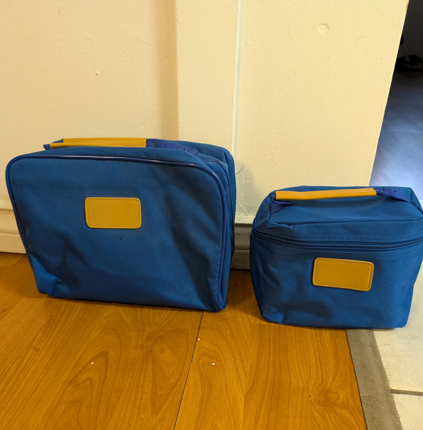 Blue Insulated Lunch Bags - Set of 2