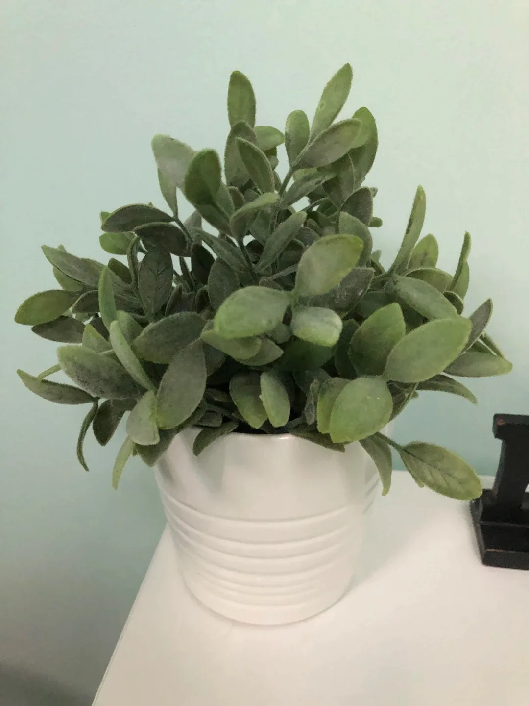 Artificial Succulent arrangements