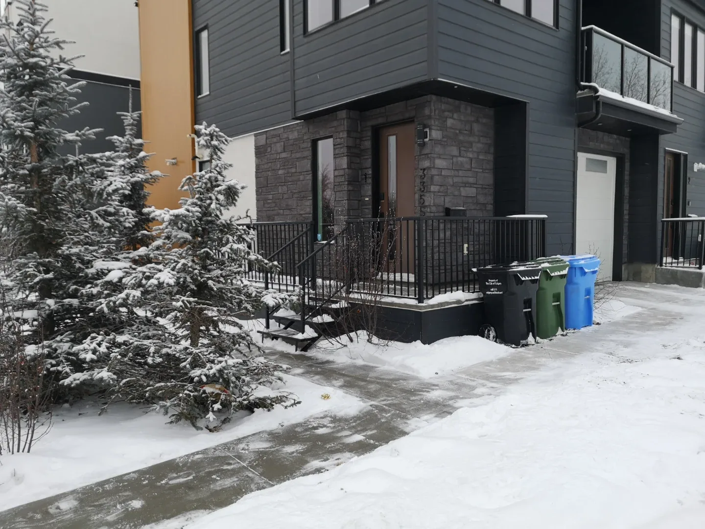 Snow Shoveling ❄️ Clearing/Removal image indicator(10)