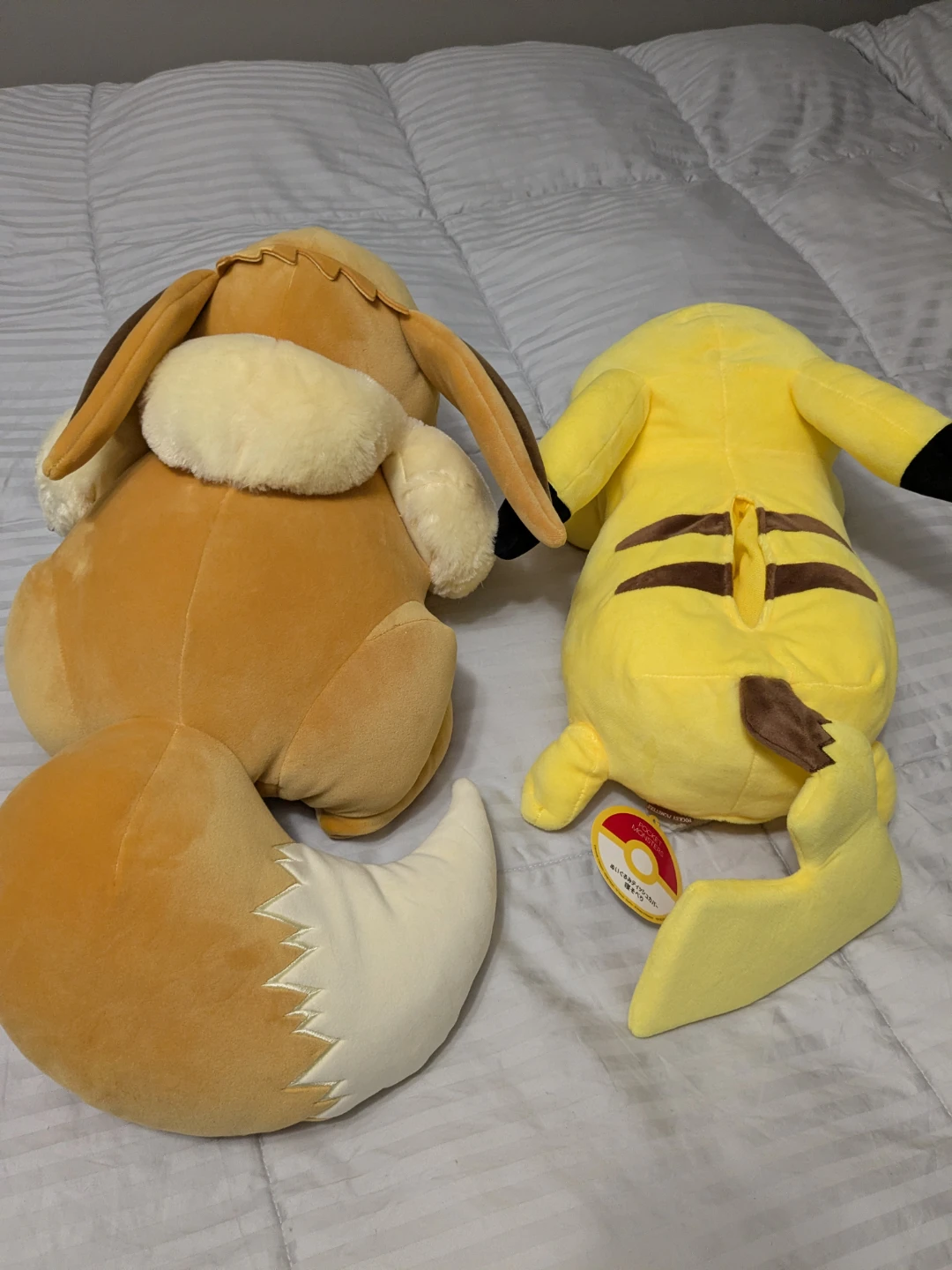 Pokémon Pikachu & Eevee Plush - photo 3