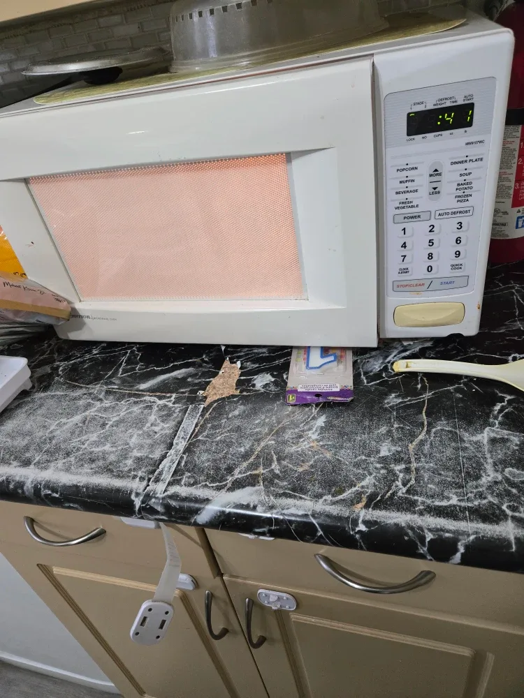 Emerson Microwave Oven