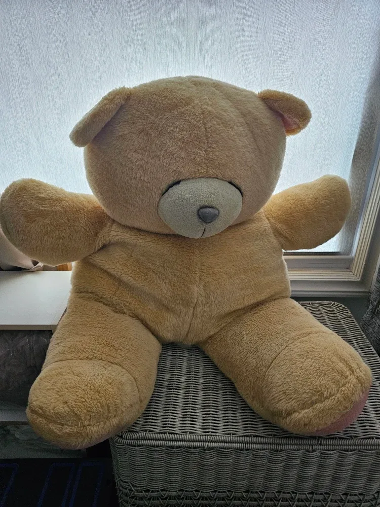#Cleanout Large Beige Teddy Bear