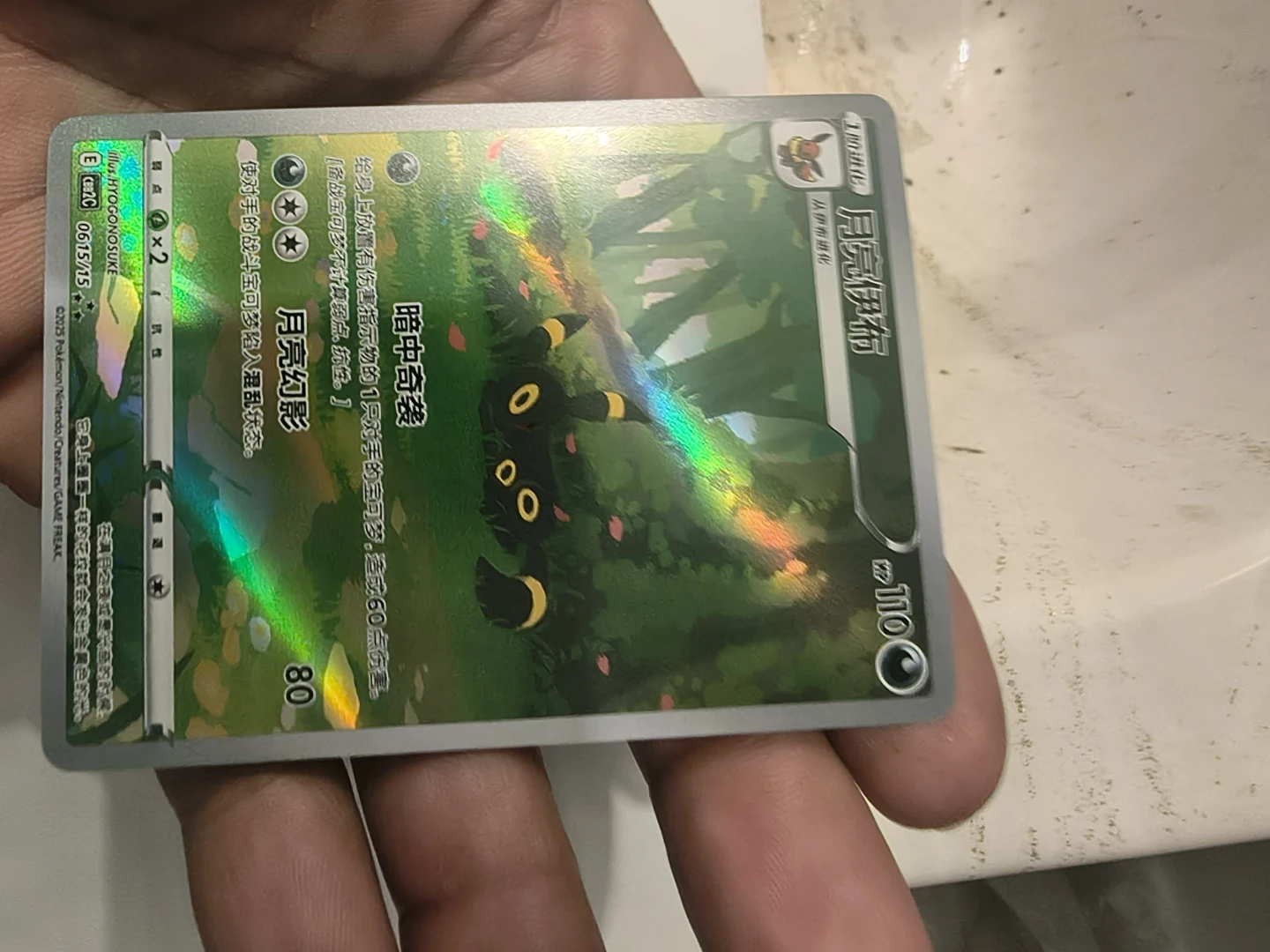 Pokemon TCG Chinese