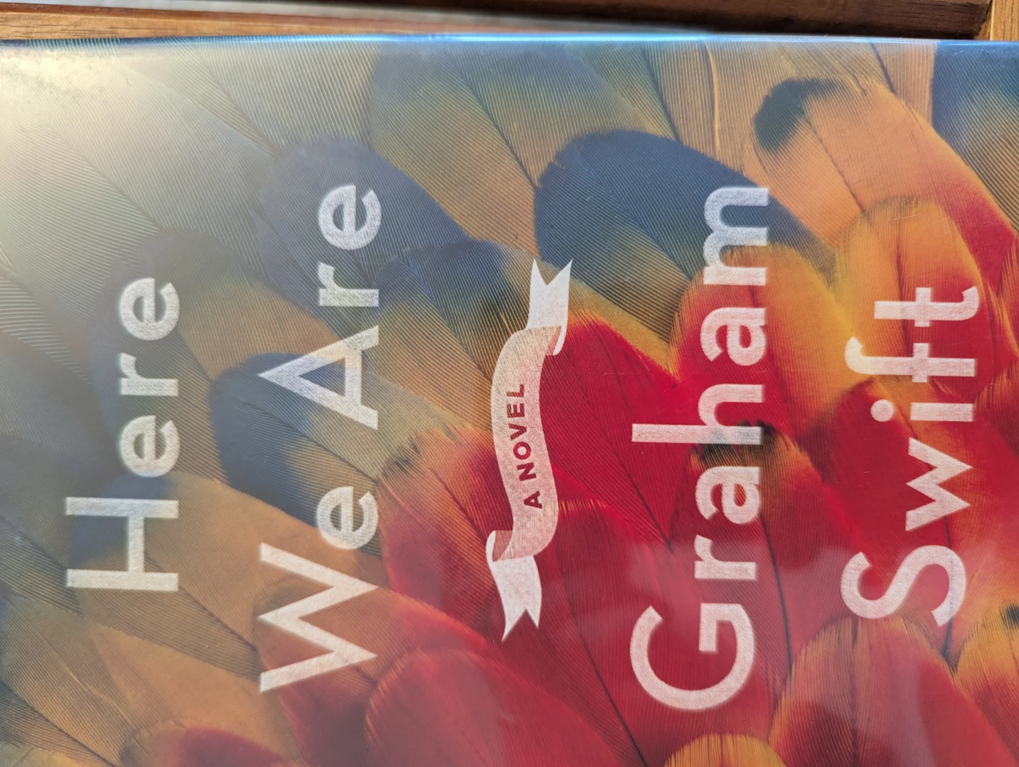 Book Bundle: High As The Waters, Here We Are, The Siren, etc