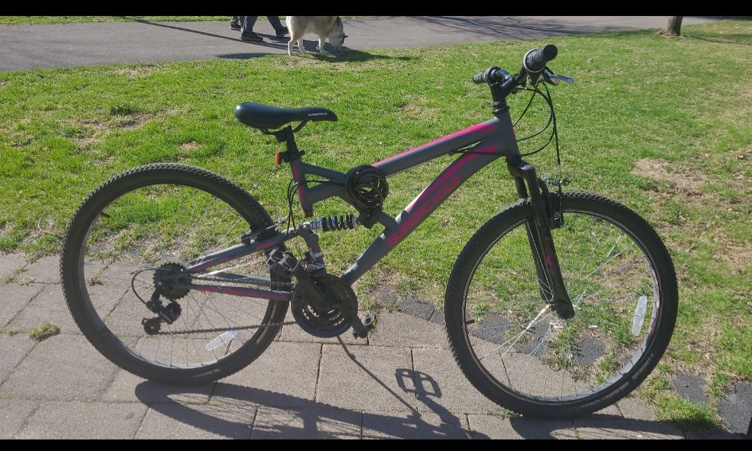 Supercycle Mountain Bike - Grey & Pink