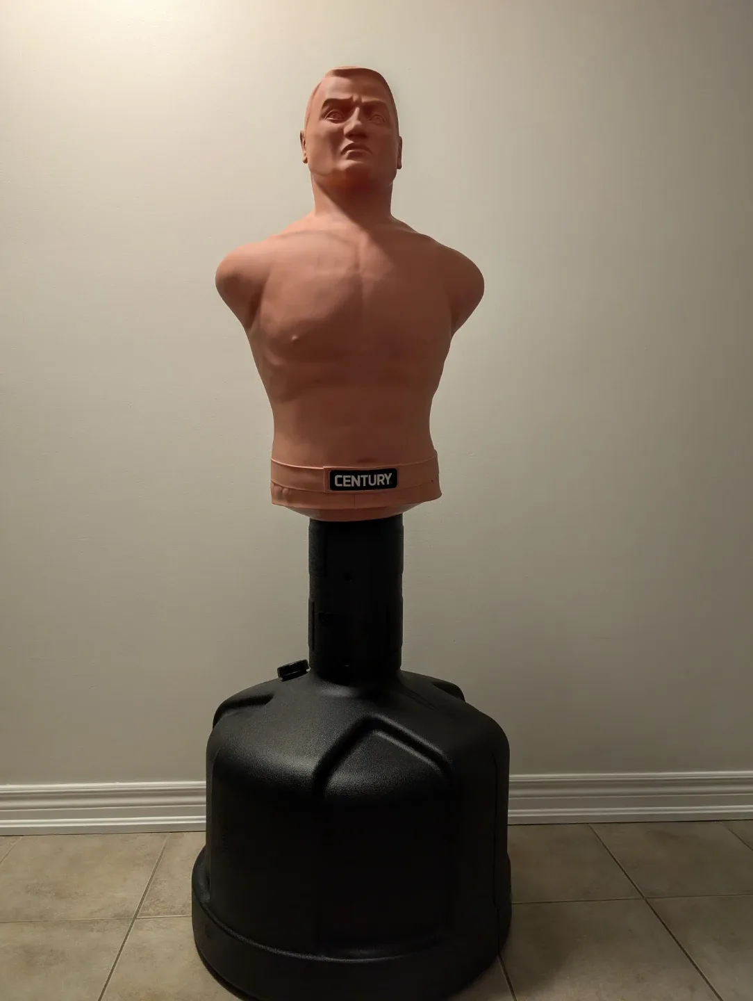 Century BOB Body Opponent Bag image indicator(2)