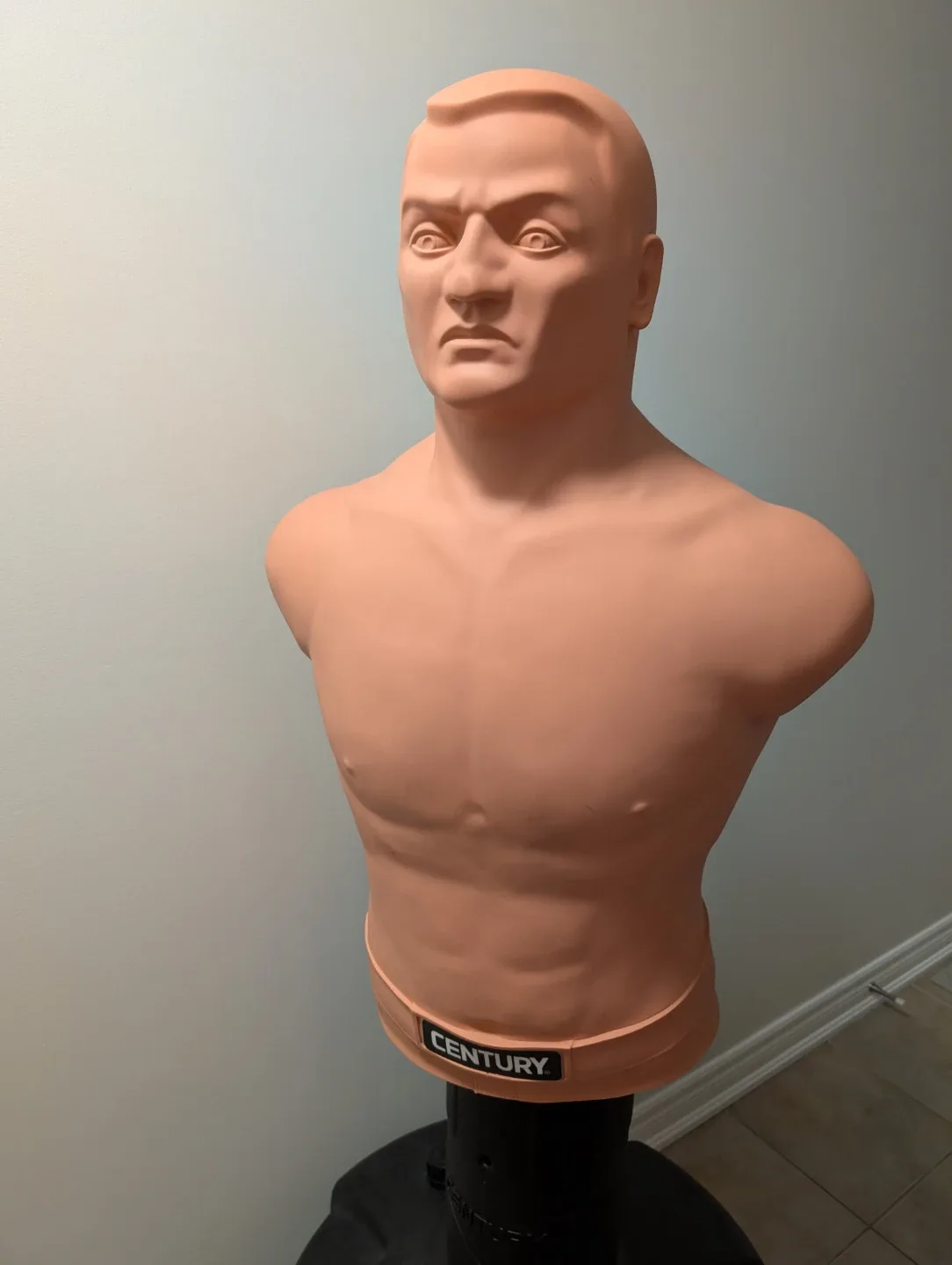 Century BOB Body Opponent Bag image indicator(3)