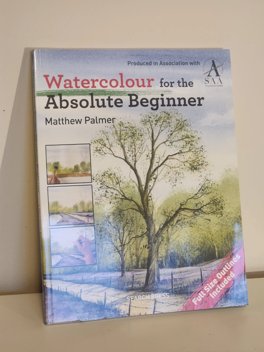 Watercolour for the Absolute Beginner by Matthew Palmer