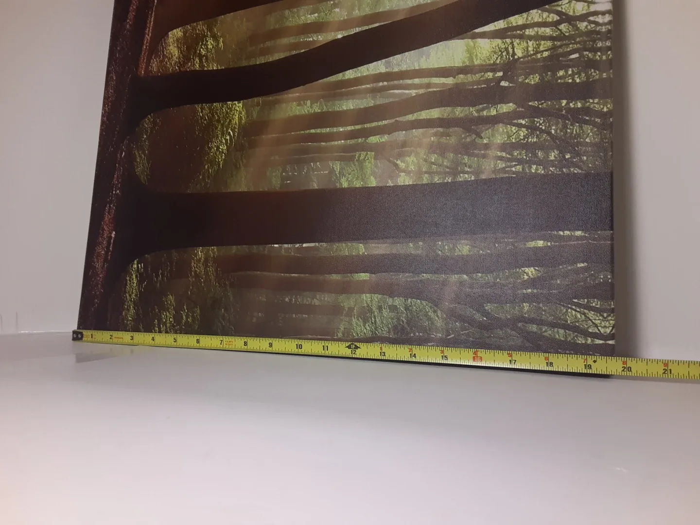 Forest Photograph | Canvas Art Print 20"x20" image indicator(4)