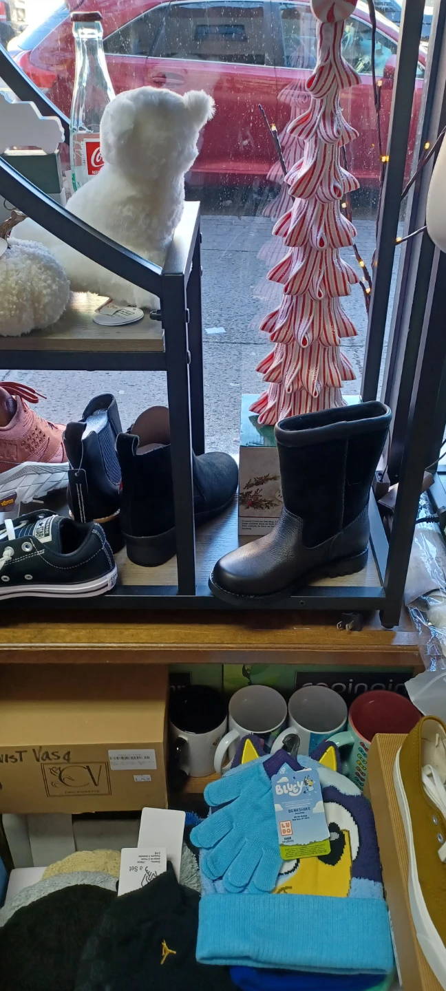 Woodlawn hoddies, toys, converse sneakers - photo 3