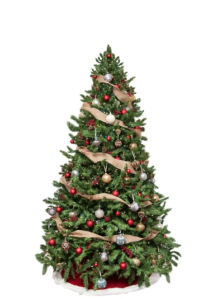 Fresh New Christmas Tree 7-8 ft (With free Delivery) - photo 2