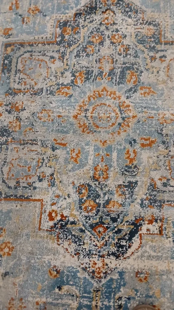 Patterned Area Rug - Blue/Beige