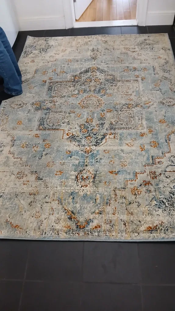 Patterned Area Rug - Blue/Beige image indicator(2)