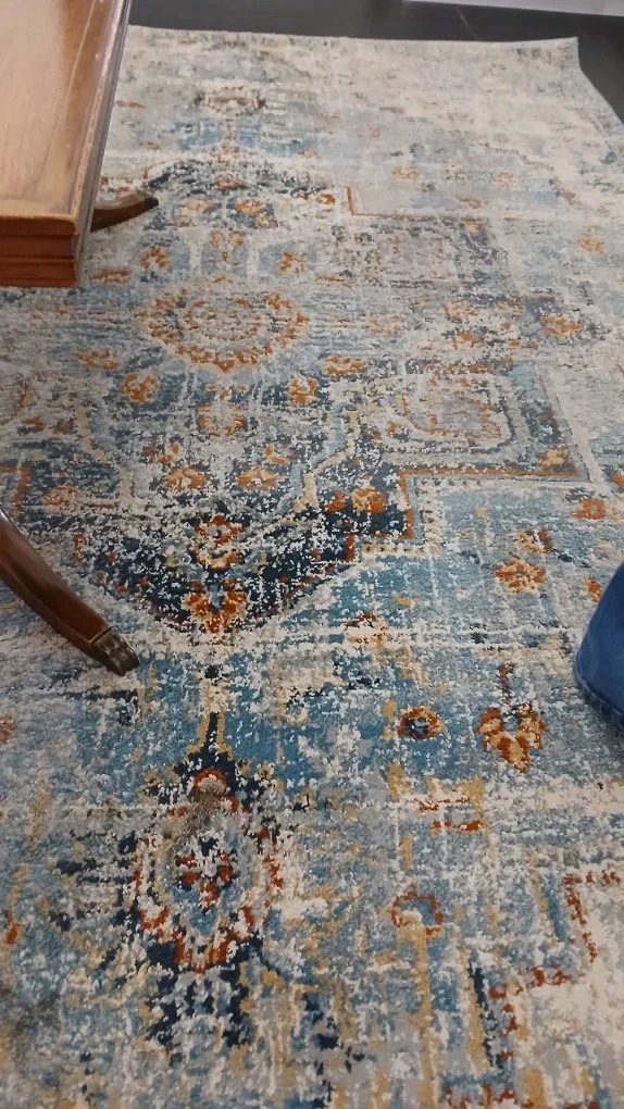 Patterned Area Rug - Blue/Beige image indicator(6)
