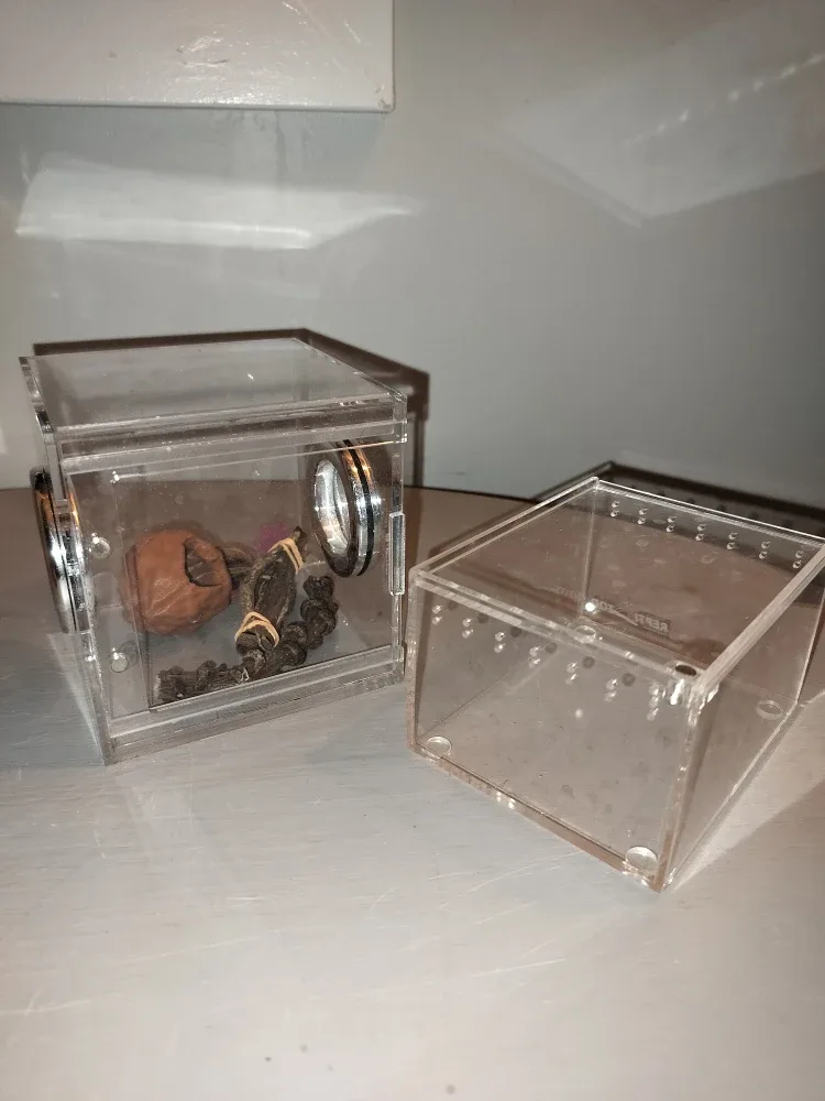 Repti-Zoo Habitat with Decor