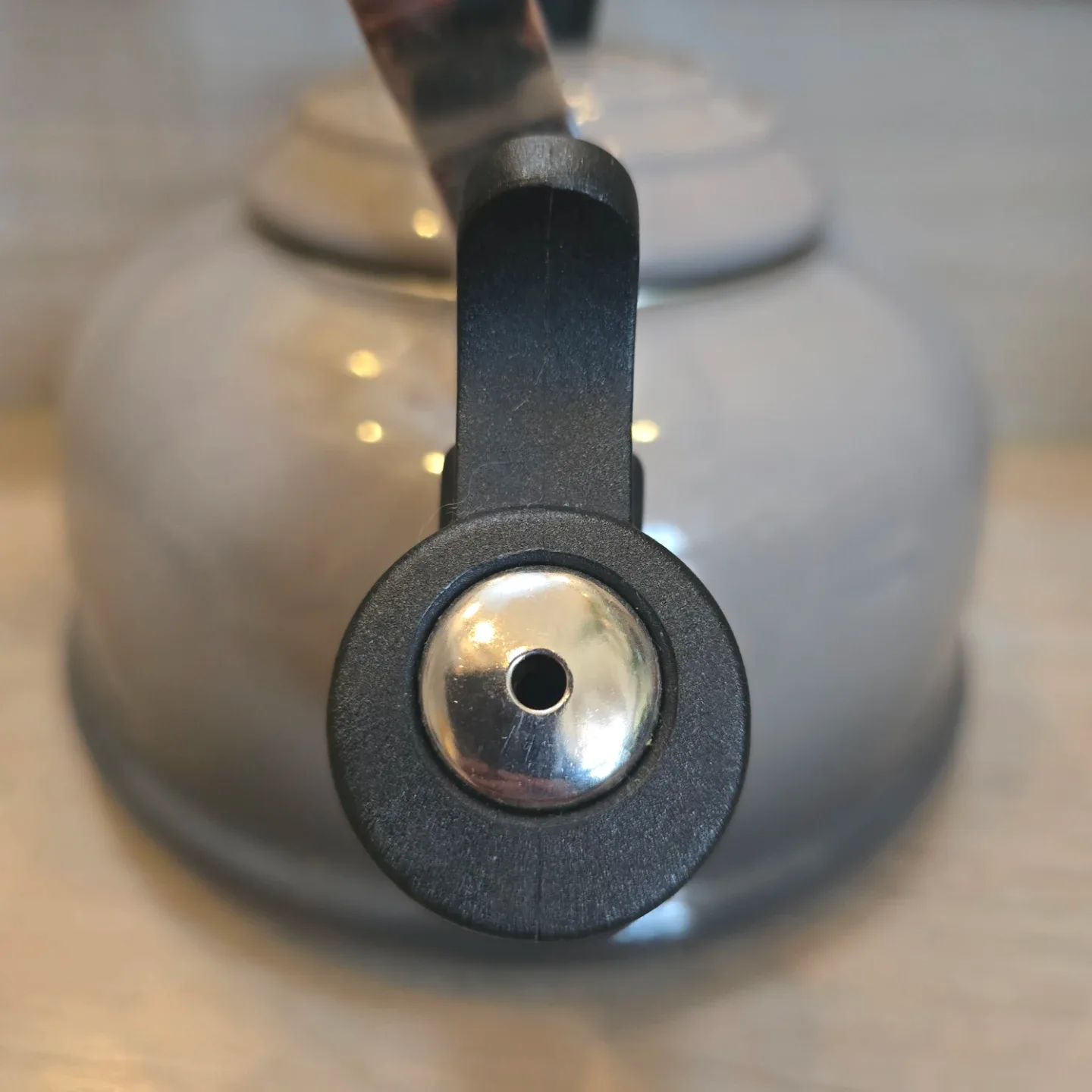 Le Creuset Whistling Tea Kettle Grey image indicator(4)