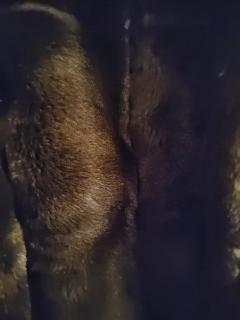 Shearling Brown Leather Coat - Made in Italy image indicator(3)