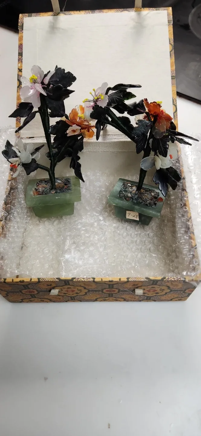 Jade Bonsai Tree Set in Box