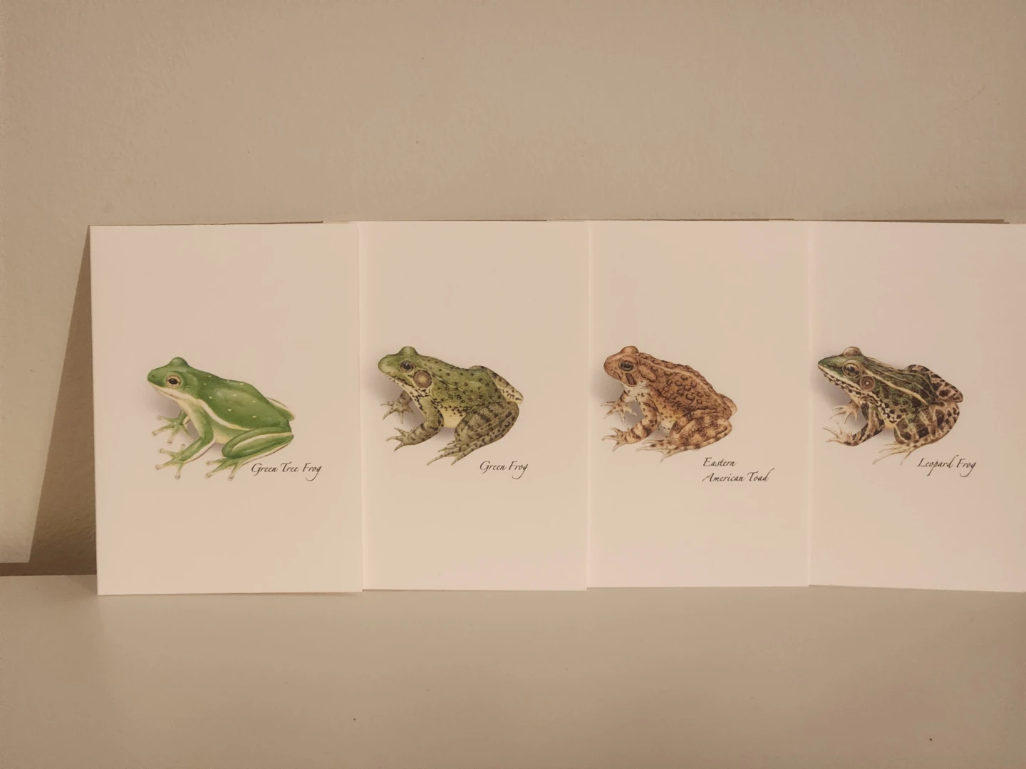 Assorted frog cards!!