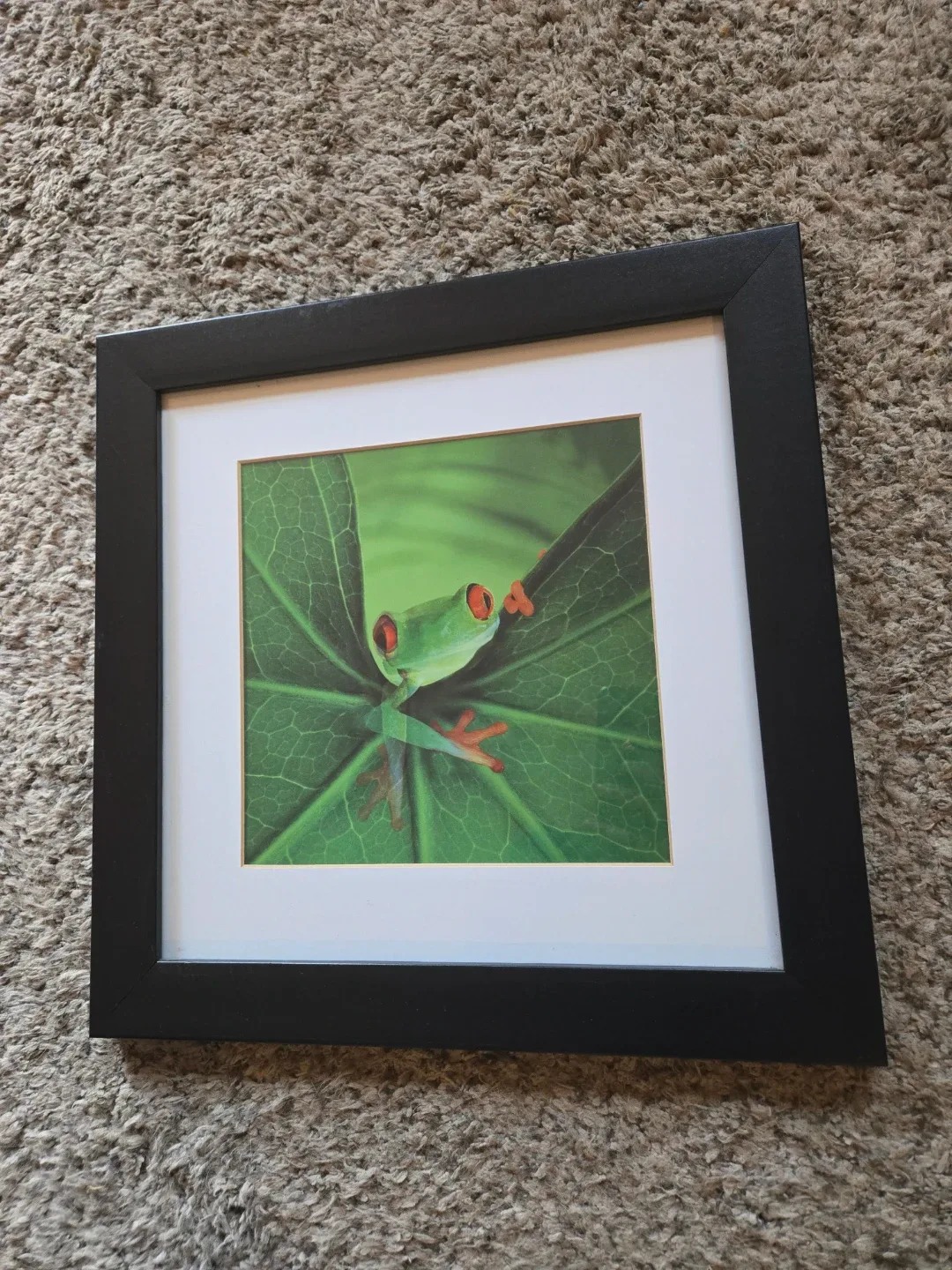 Framed Prints - Frog & Lighthouse image indicator(4)