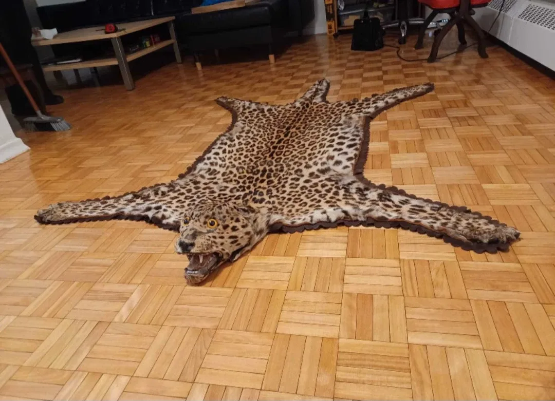 Leopard skin rug image indicator(3)